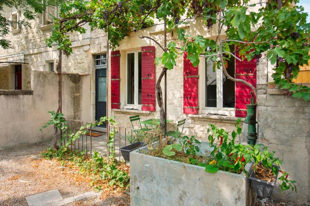 Mini Maison Studio Ancienne Renovee +Parking أفينيون المظهر الخارجي الصورة