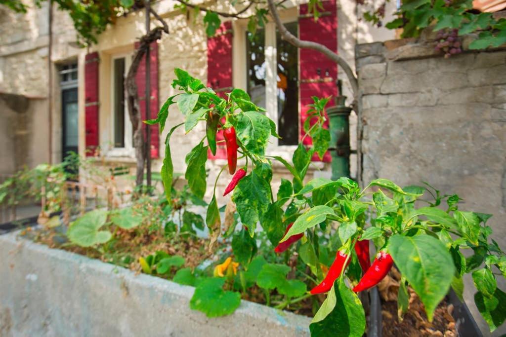 Mini Maison Studio Ancienne Renovee +Parking أفينيون المظهر الخارجي الصورة